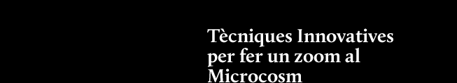 t&egrave;cniques innovatives per fer un zom al microcosm